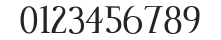 IndisposeSCLigatures-Light numbers preview