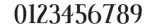IndisposeSCLigatures-Medium numbers preview