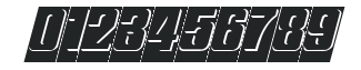 Ink Stamp 5 numbers preview
