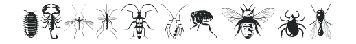 Insectile numbers preview