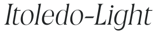 Itoledo-Light preview