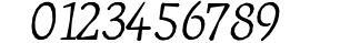 JournalItalicFractions preview