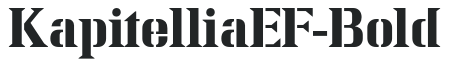 KapitelliaEF-Bold preview