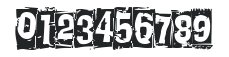 Knucklehead Boxed numbers preview