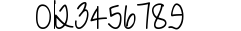 LD Fine Script 4 preview
