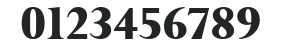 Lapidary 333 Blk CE Black numbers preview