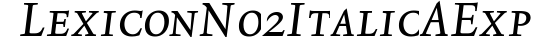 Lexicon No2 Italic A Exp preview