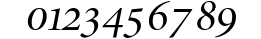Minion Expert Display Italic preview
