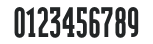 ModularSerifBlack numbers preview
