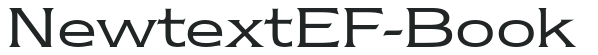 NewtextEF-Book letters preview