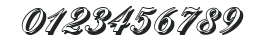 NicholasBeckerShadow-Medium-Regular numbers preview