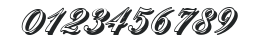 NicholasBeckerShadow-Regular numbers preview