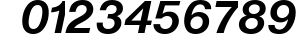 Nimbus_Sans_Becker_P_Bold_Italic preview