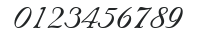 Nuptial Script Regular numbers preview