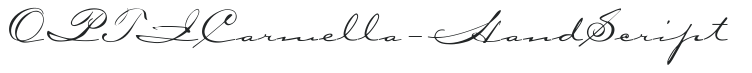 OPTICarmella-HandScript preview