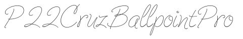 P22 Cruz Ballpoint Pro preview