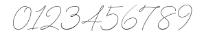 P22 Cruz Ballpoint Pro numbers preview