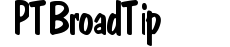PT Broad Tip preview