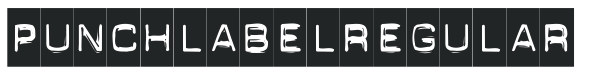 PUNCHLABEL REGULAR letters preview
