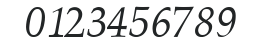 Palatino Normal-Italic numbers preview