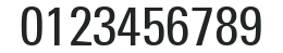 PartnerCondensed Normal numbers preview