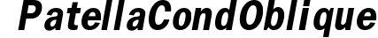 PatellaCond Oblique preview