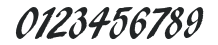 PendryScriptStd numbers preview