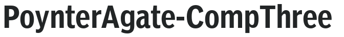 PoynterAgate-CompThree preview