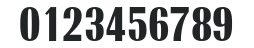 RadiantEFDisplay-CondNo3 numbers preview