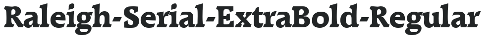 Raleigh-Serial-ExtraBold-Regular preview