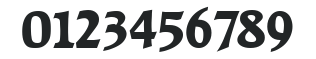 Raleigh-Serial-ExtraBold-Regular numbers preview