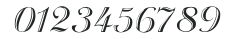 Rechtman-Script numbers preview