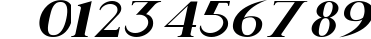 Rider Wide Expanded Bold Italic preview