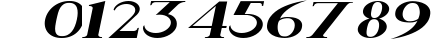 Rider Widest Ultra-expanded Light Italic preview