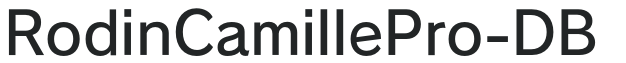 RodinCamillePro-DB preview