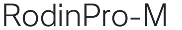 RodinPro-M preview