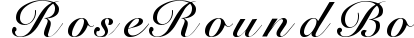 Rose Round Bold preview