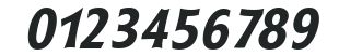 RyndersExtrabold Italic numbers preview