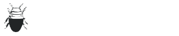ryp_realbug letters preview