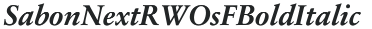 SabonNext RW OsF Bold Italic preview