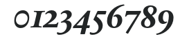 SabonNext RW OsF Bold Italic numbers preview
