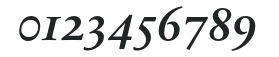 SabonNext RW OsFDemi Bold Italic numbers preview