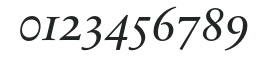 SabonNext RW OsFDemi Italic numbers preview
