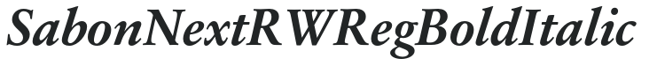SabonNext RW Reg Bold Italic preview