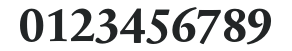 SabonNext RW Reg Bold numbers preview