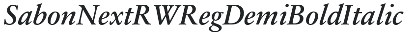 SabonNext RW RegDemi Bold Italic preview