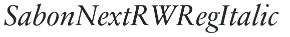 SabonNext RW Reg Italic preview