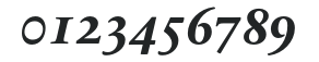 SabonNext RW SC Bold Italic numbers preview