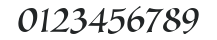 SallandoItalic numbers preview