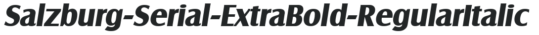 Salzburg-Serial-ExtraBold-RegularItalic preview
